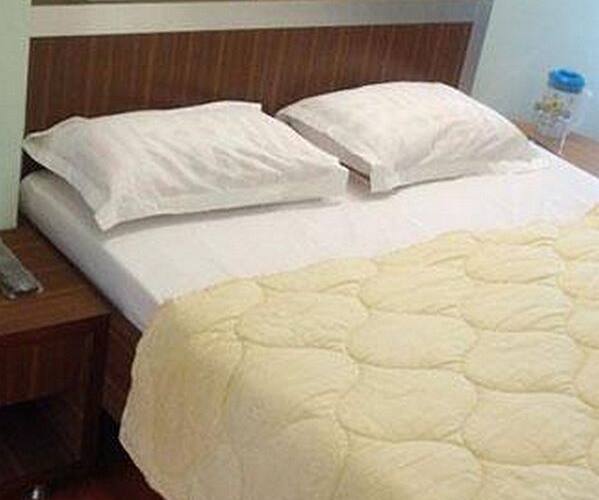 Hotel Naya Kashmir, Srinagar 4